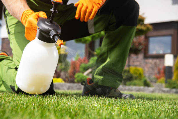 Best Pest Removal Services  in Beatrice, NE