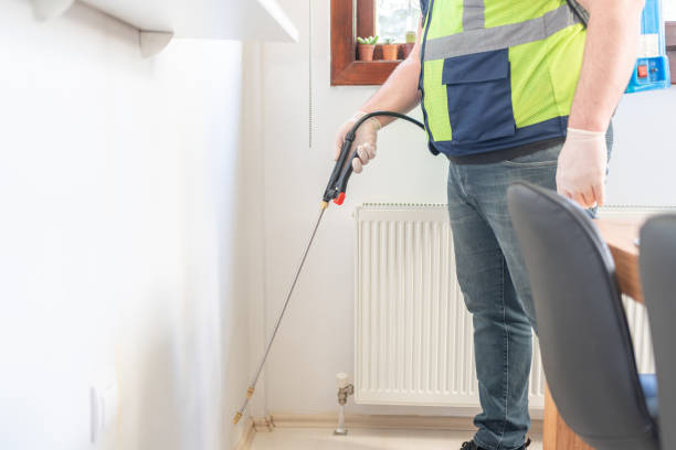 Best Flea Control Services  in Beatrice, NE